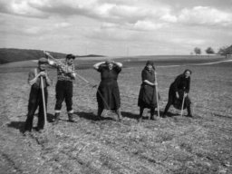 feldarbeit_1962 familie haass